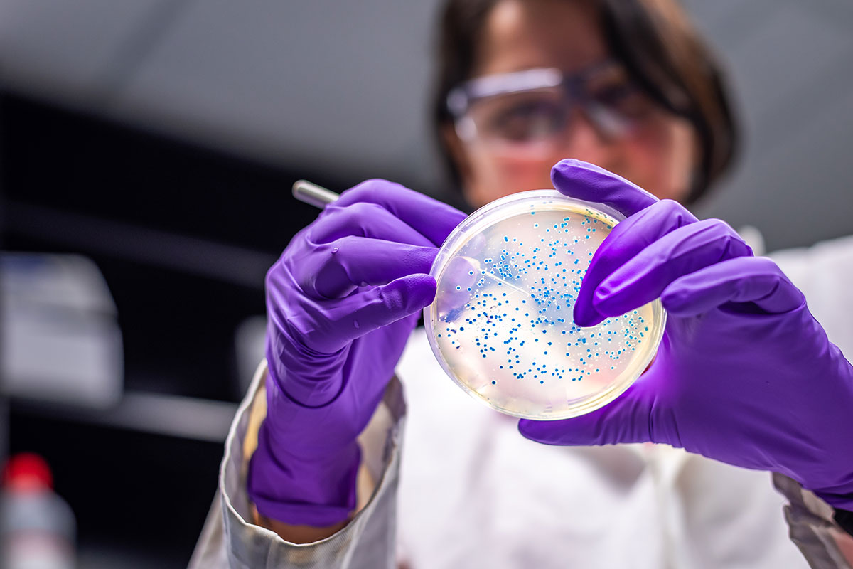 Exosome therapy in [city]